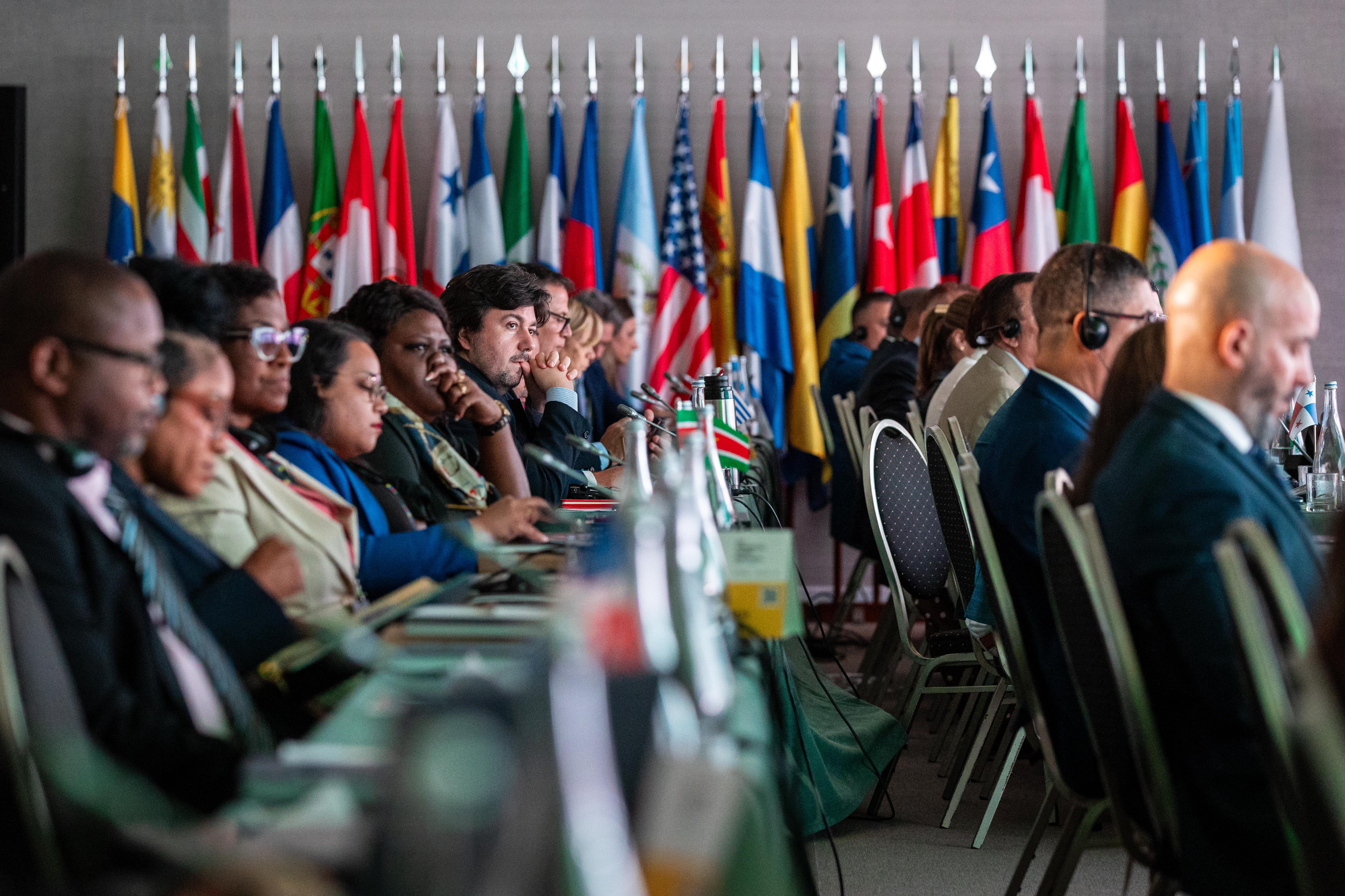 Delegates at the international congress session in Portugal
